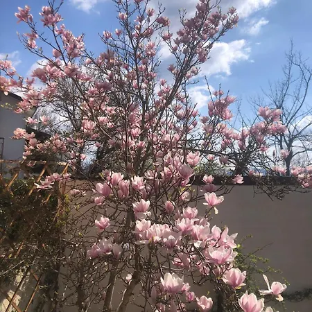 Ca' Parodi Bel View شقة