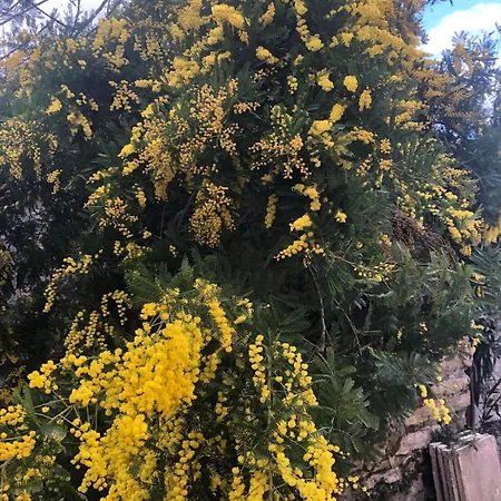 Ca' Parodi Bel View *